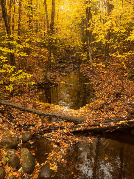 Autumn view of the stream crossing at the junction of the Brandy Lake to Round Pond and Otter Lake to Brandy Lake trails.