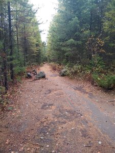 Section of trail between Lion Mountain and Beaver Lakes