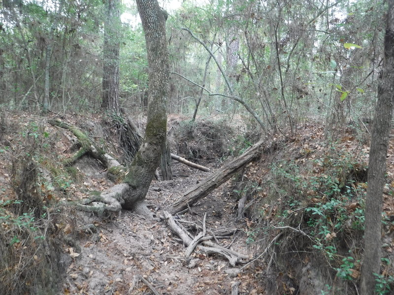 Small creek crossing. If hiked during the rainy season you would get your feet wet. Gentle approach and departure for crossing.