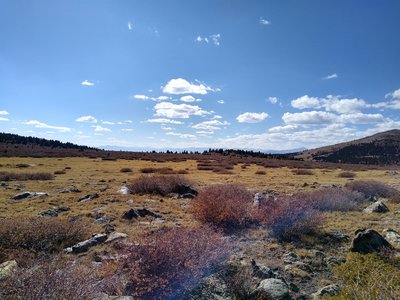 View to the south from the highpoint of the Ben Taylor Trail.