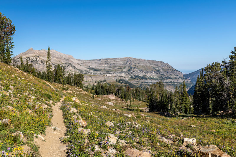 View from Teton Crest Trail into Caribou-Targhee National Forest.