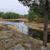 Tree stumps in a beaver pond.