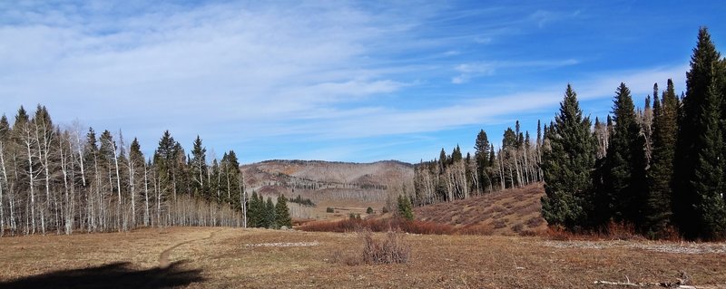 Looking back towards the trailhead of the Beaver Creek Trail.