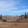 Looking back towards the trailhead of the Beaver Creek Trail.