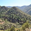 Looking SW at beginning of Mormon Ridge Trail