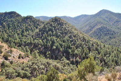 Looking SW at beginning of Mormon Ridge Trail
