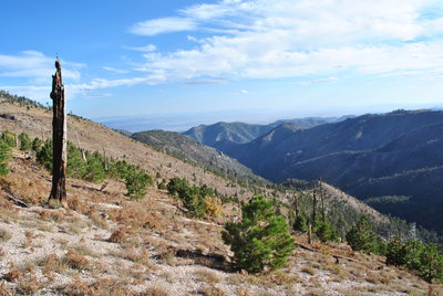 View south to Rucker Canyon.