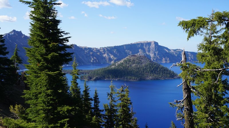 Wizard Island through the trees.