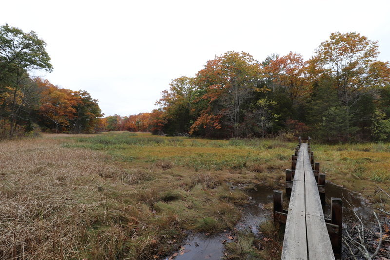 The beginning of the Boardwalk Trail.