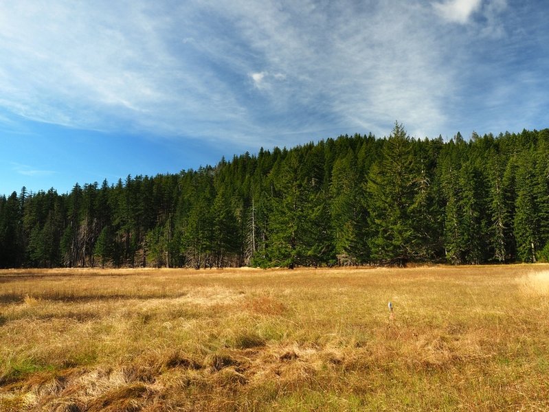 The meadow in Windy Valley.