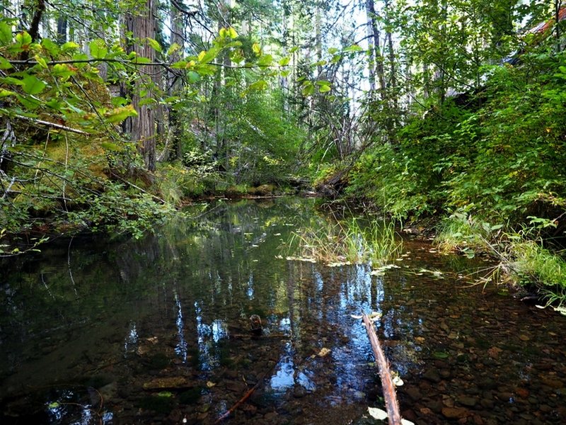 Windy Creek near the Snow Camp-Windy Valley trail junction