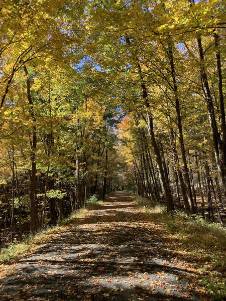 Ashokan Rail Trail