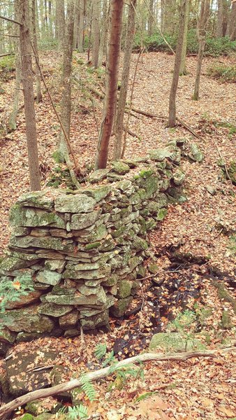 Old Mill Dam