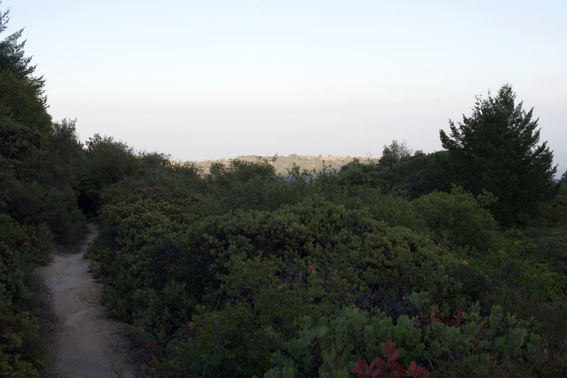 The trail opens up a little bit and you get a little bit of a view if you are tall enough to see over the shrubs.