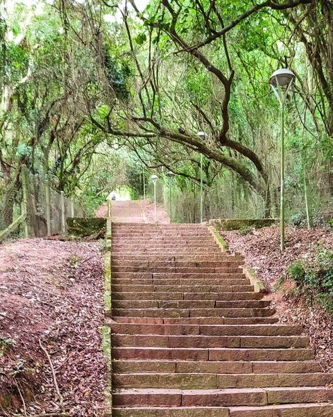 Escadaria do Morro da Cuíca