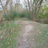 Bridge over Mill Creek to Walnut Trail.