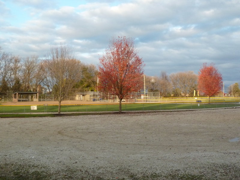 Baseball Fields North Side of Trail