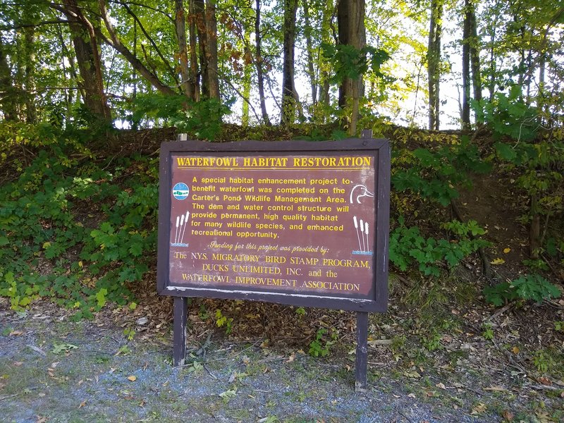 Waterfowl Habit information sign