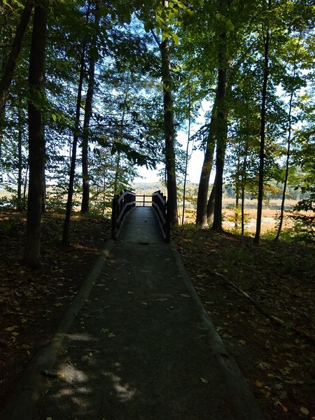 Pond overlook