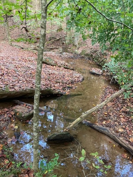 The trail goes along this beautiful creek.