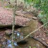 The trail goes along this beautiful creek.