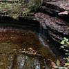 The waterfall on the way to Pete's Cave. Cross creek above fall to resume trail.