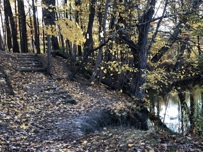 Near the trailhead