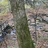 Bridge over Lenox Brook