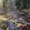 Red Creek - so names because of the red rocks native to the area.