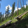 One of the ocasional switchbacks climbing out of Mill Creek Canyon.