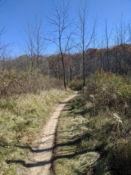 One of the prairie sections.