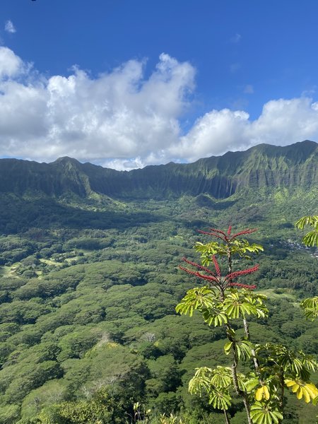 View from Peak Three.