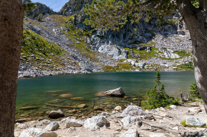 A shady spot on the shore of Amphitheater Lake.