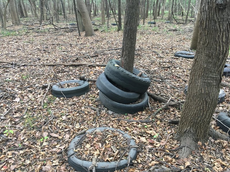 A Tire Graveyard from Pre-Reservoir Times