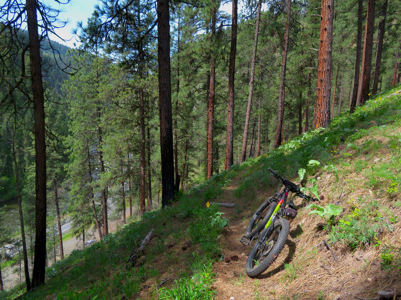 Mountain biking the Wikiup Creek Trail.