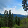 The Cougar Creek Trail offers scenic views near the top of the ridge.