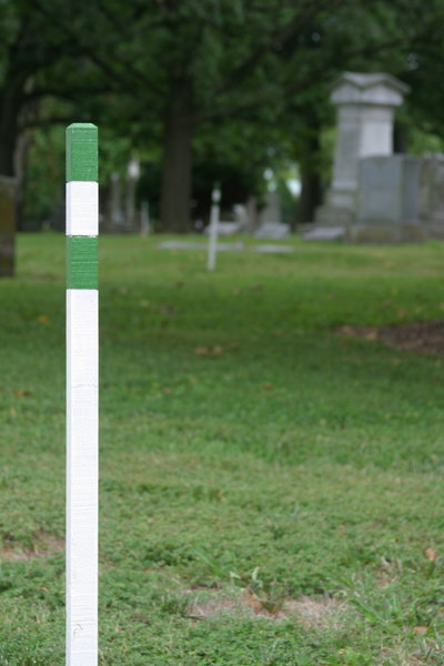 The trail is marked by white stakes with green bands.