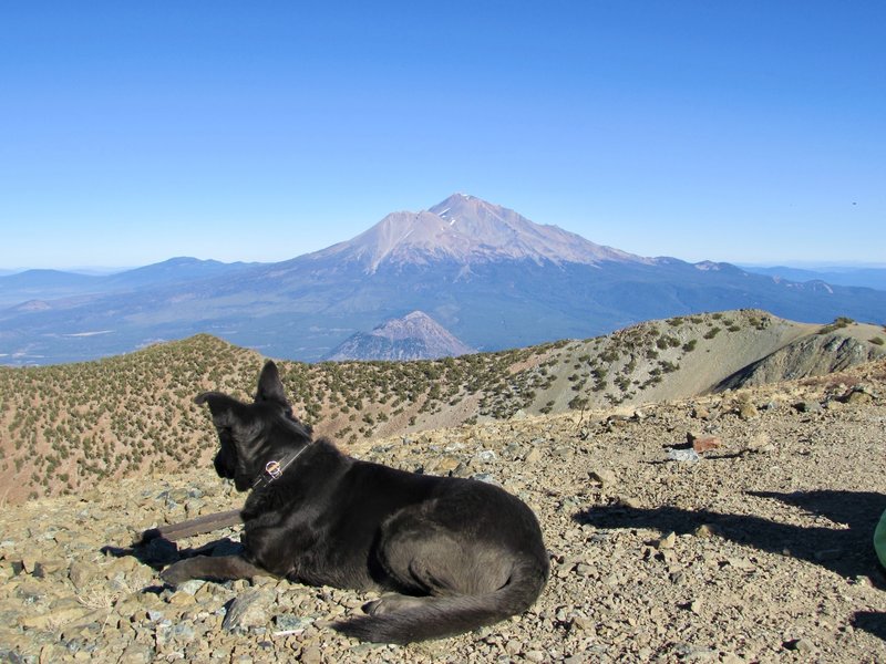 Top of Mount Eddy