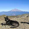 Top of Mount Eddy