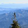 View from the top of Mount Eddy.