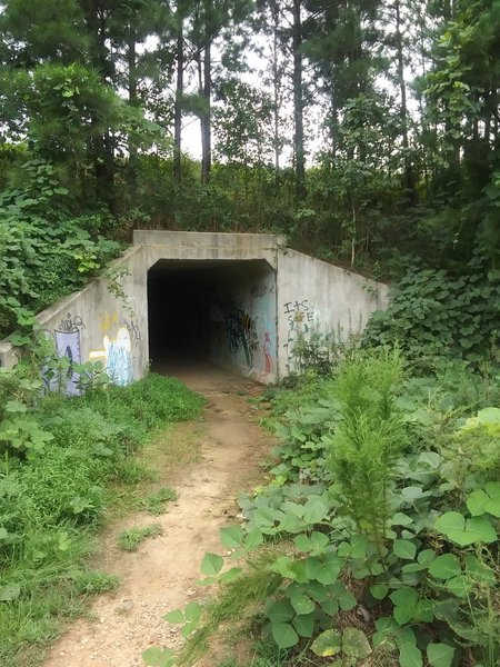 Tunnel under 98.