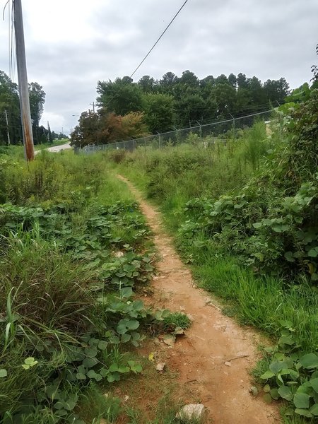 Singletrack trail