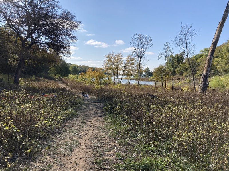 Mouth of Lake Grapevine