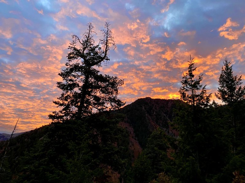 Sunrise on the Desolation Trail