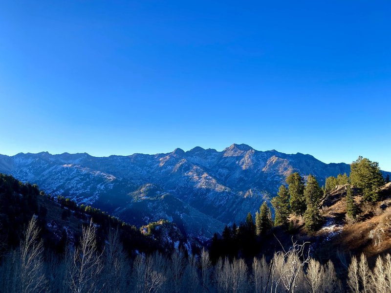 Awesome View of Twin Peaks from Mill B