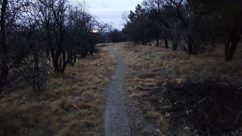 On singletrack trail looking towards east before the sunrise.