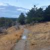 Entrance of a singletrack trail in Eymir Forest area after rain, looking towards Northwest.