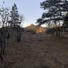 A view of Hualapai Peak from Potato Patch Loop.