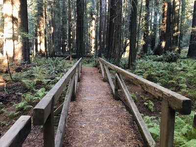 Bridge over dry creek.