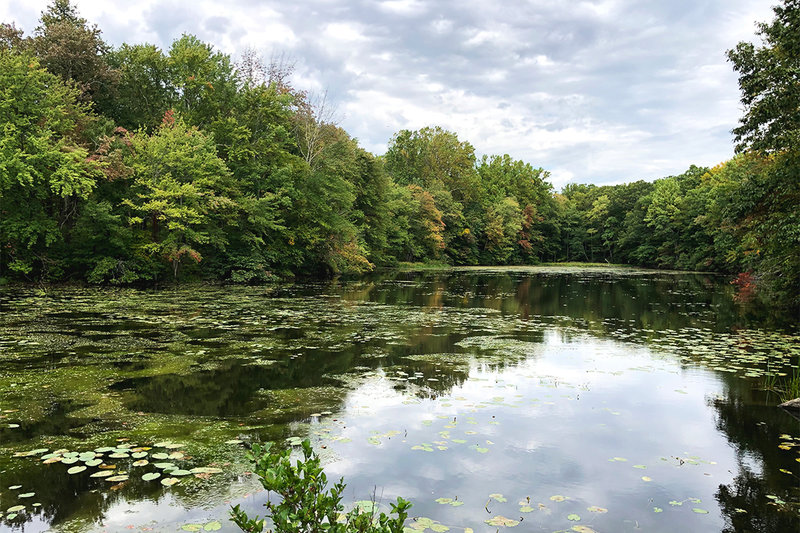 South Pond as seen from the White Trail.